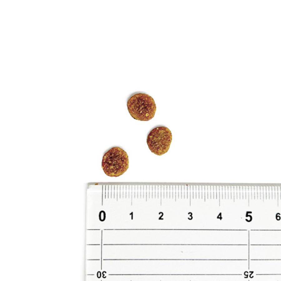 並行輸入品】 アカナ パピー レシピ 全犬種 子犬用 ドッグフード 11.4