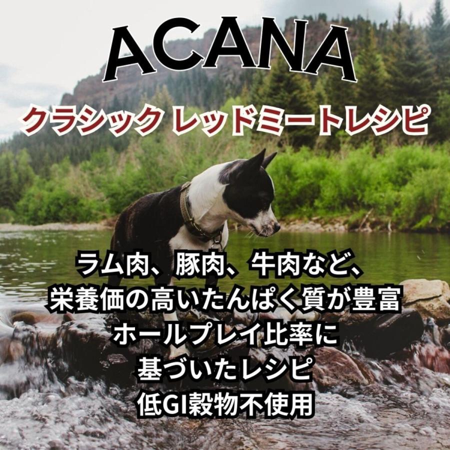 ACANA レッドミートレシピ　ドッグフード　全犬種全年齢対応9.7kg 並行輸入品】 アカナ クラシック レッドミートレシピ 全犬種 全年齢用