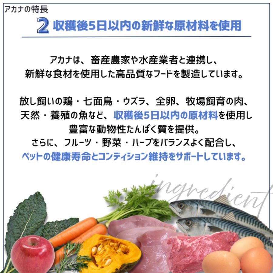 並行輸入品】 アカナ クラシック レッドミートレシピ 全犬種 全年齢用