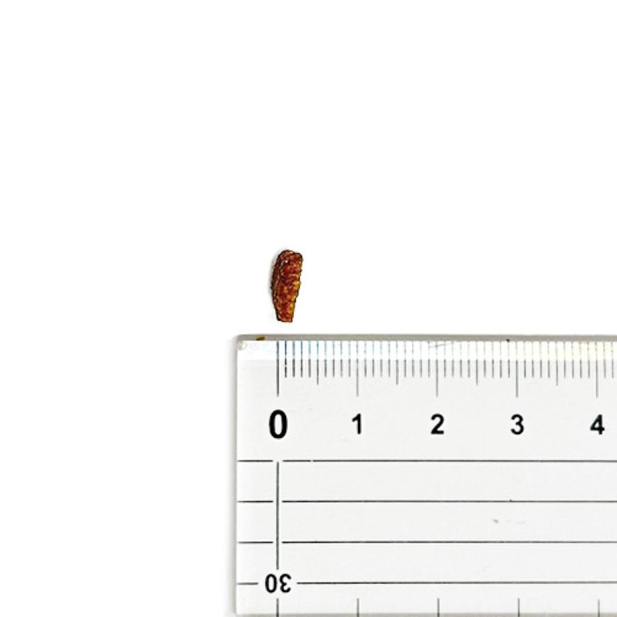 【並行輸入品】 アカナ グラスランド 全猫種 全年齢用 キャットフード 4.5kg_2