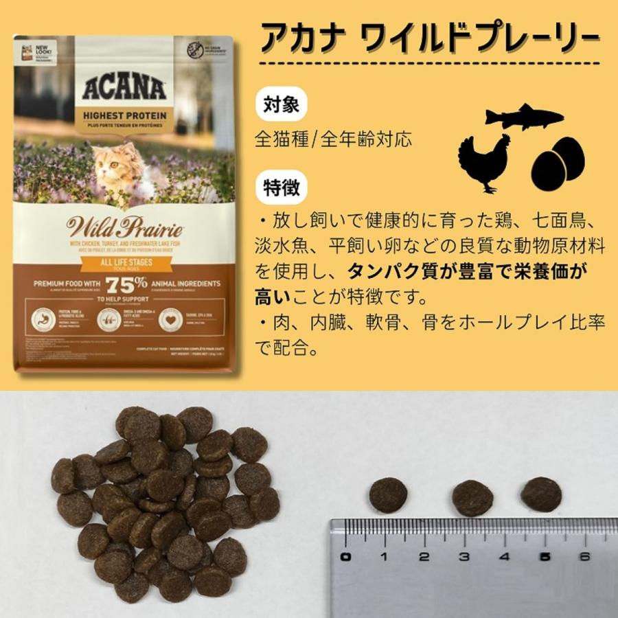 メール便・配送日時指定不可】 【並行輸入品】 アカナ キャットフード