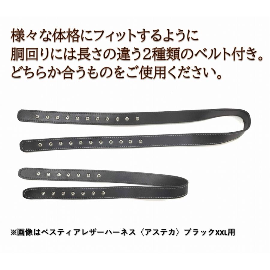 litmus レザーハーネス 2025年最新】litmus ハーネスの人気アイテム - メルカリ