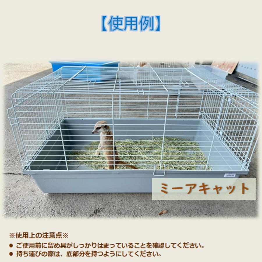 トムキャット マルチボックス R4 ×2個入の画像