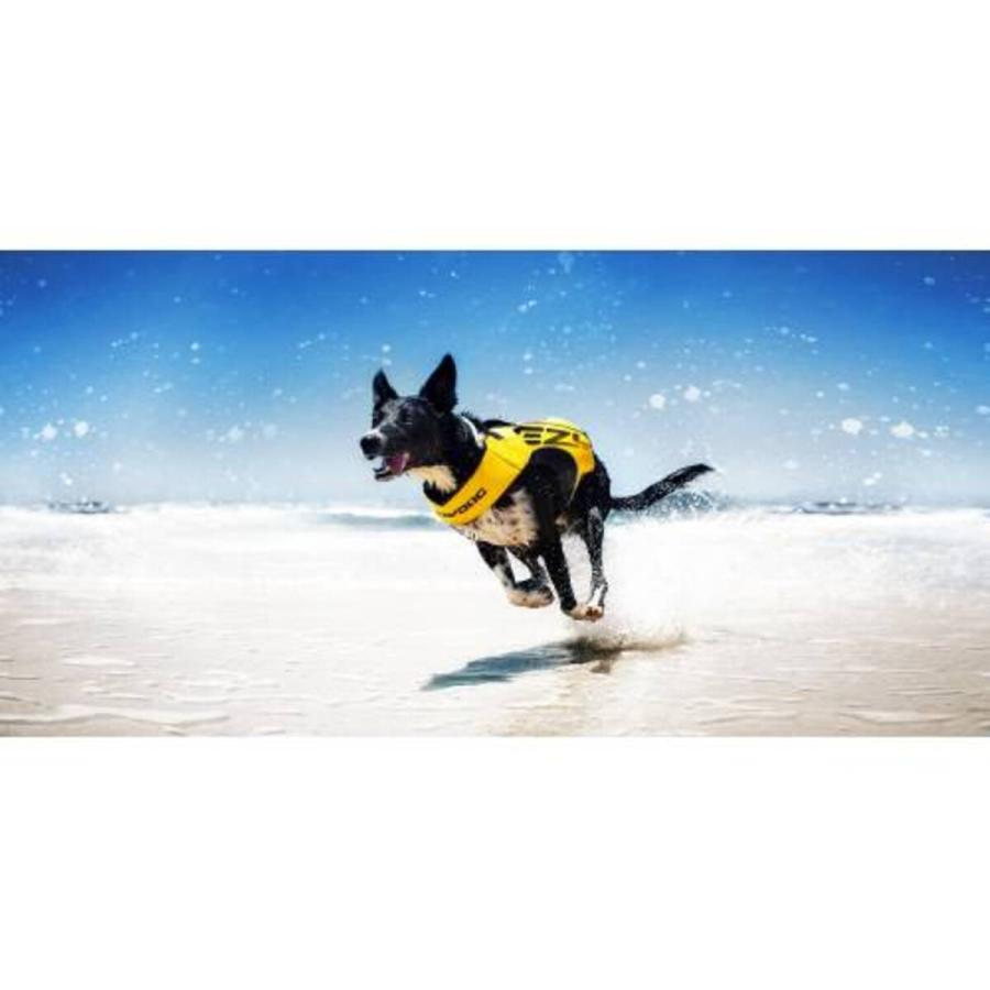 イージードッグ EZ DFDブースト ライフジャケット 犬用 M イエロー