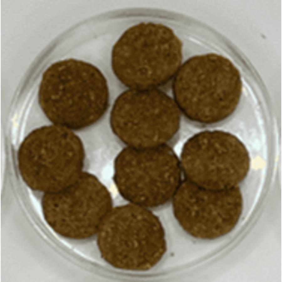 ファーストチョイス ChoiceS 成犬 1歳以上に チキン 成犬用