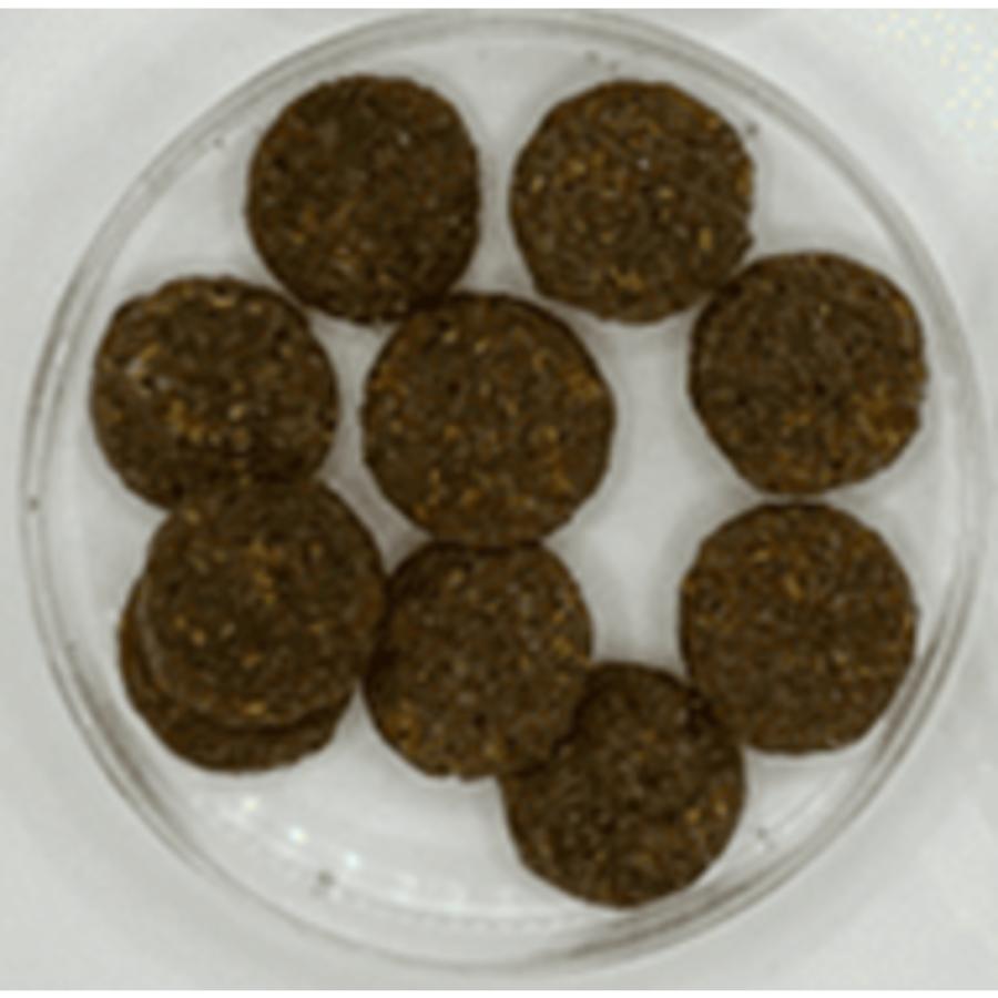 ファーストチョイス ChoiceS 成犬用ラム 成犬用【ブリーダー用