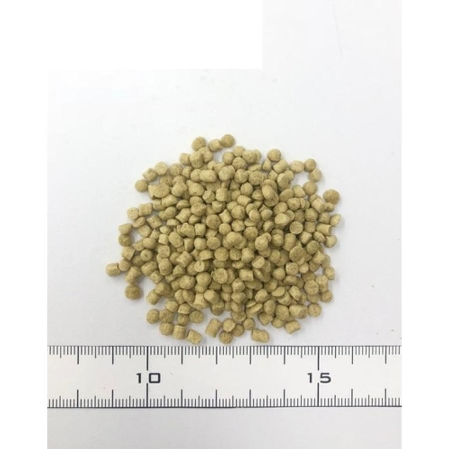 直輸入】 ハリソン アダルト ライフタイム ファイン 小・中型鳥用 2.27