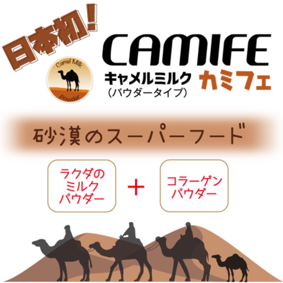 カモス カミフェ 業務用ラクダミルク 犬・猫・小動物用 300g ×3袋入