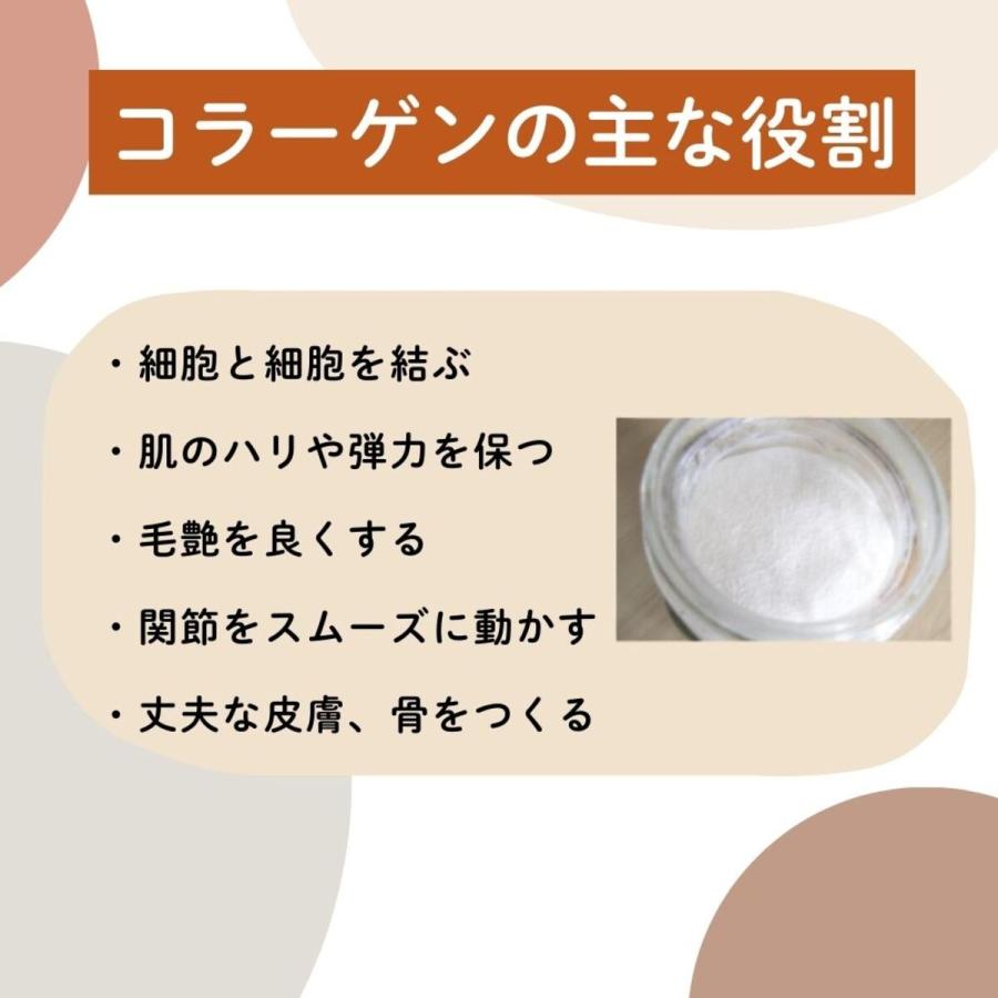 カモス カミフェ 業務用ラクダミルク 犬・猫・小動物用 300g ×3袋入