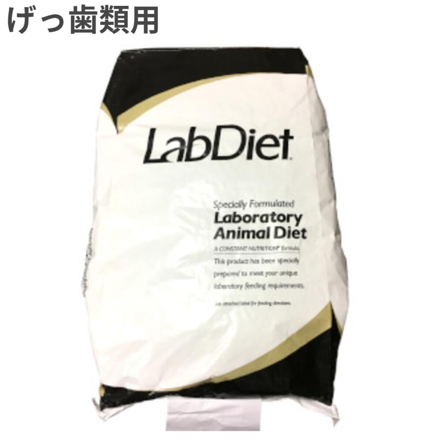 お取寄せ品】 ラブダイエット げっ歯類 [5L37] 20kg : トムキャット