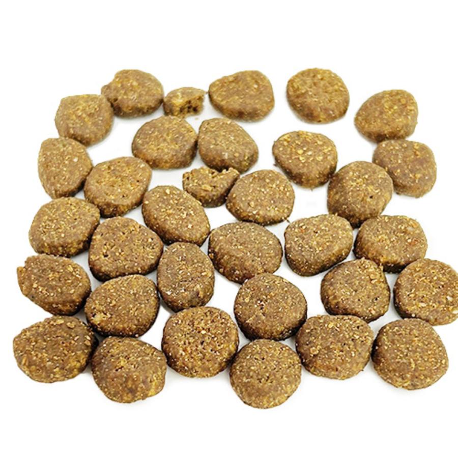 orijen オリジン レジオナル レッドドッグ 11.4kg 犬用 ドッグフード 
