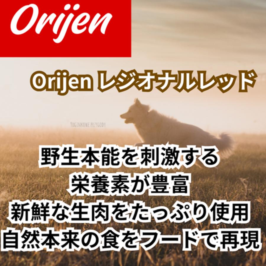 並行輸入品】 オリジン Orijen レジオナルレッド 全犬種 全年齢用
