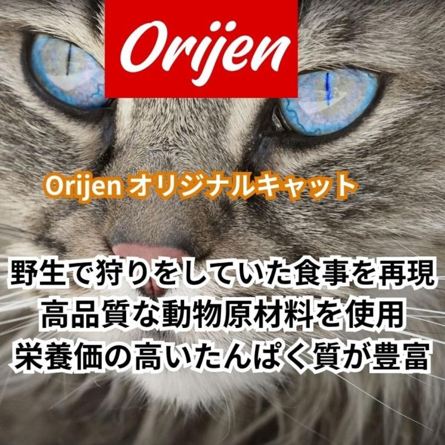 【並行輸入品】 オリジン Orijen オリジナルキャット 全猫種 全年齢用 キャットフード 5.4kg_1