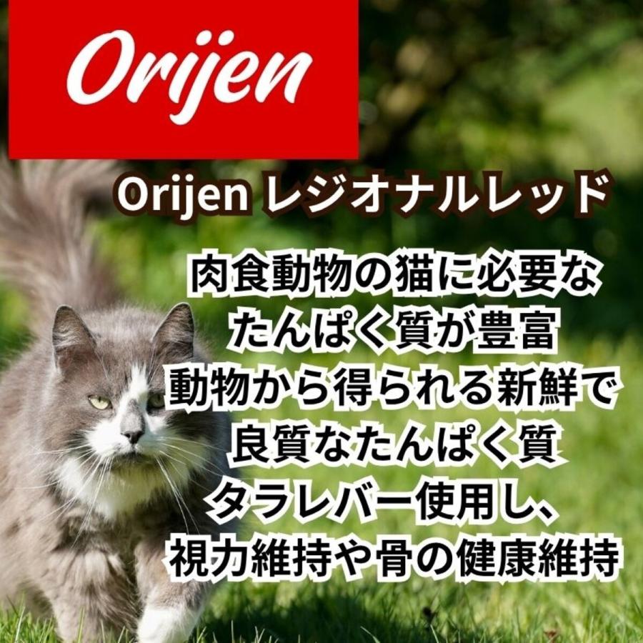 並行輸入品】 オリジン Orijen レジオナルレッド 全猫種 全年齢用 