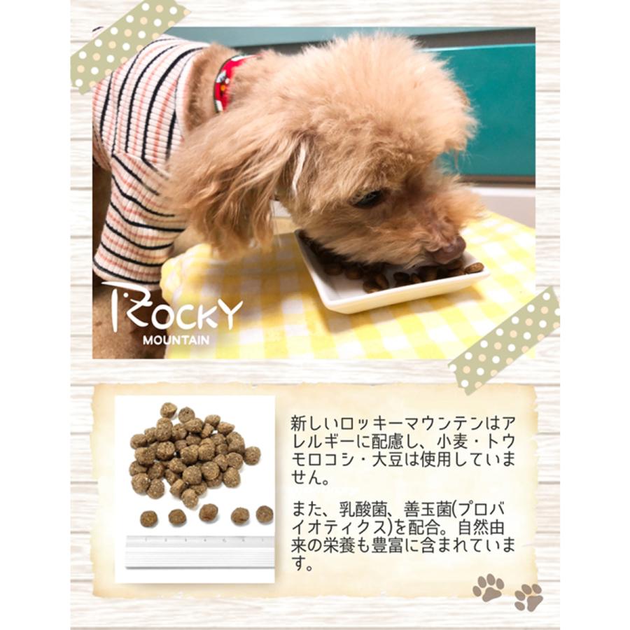 ロッキーマウンテン トムキャット チキン ドッグフード 犬 全年齢 全犬