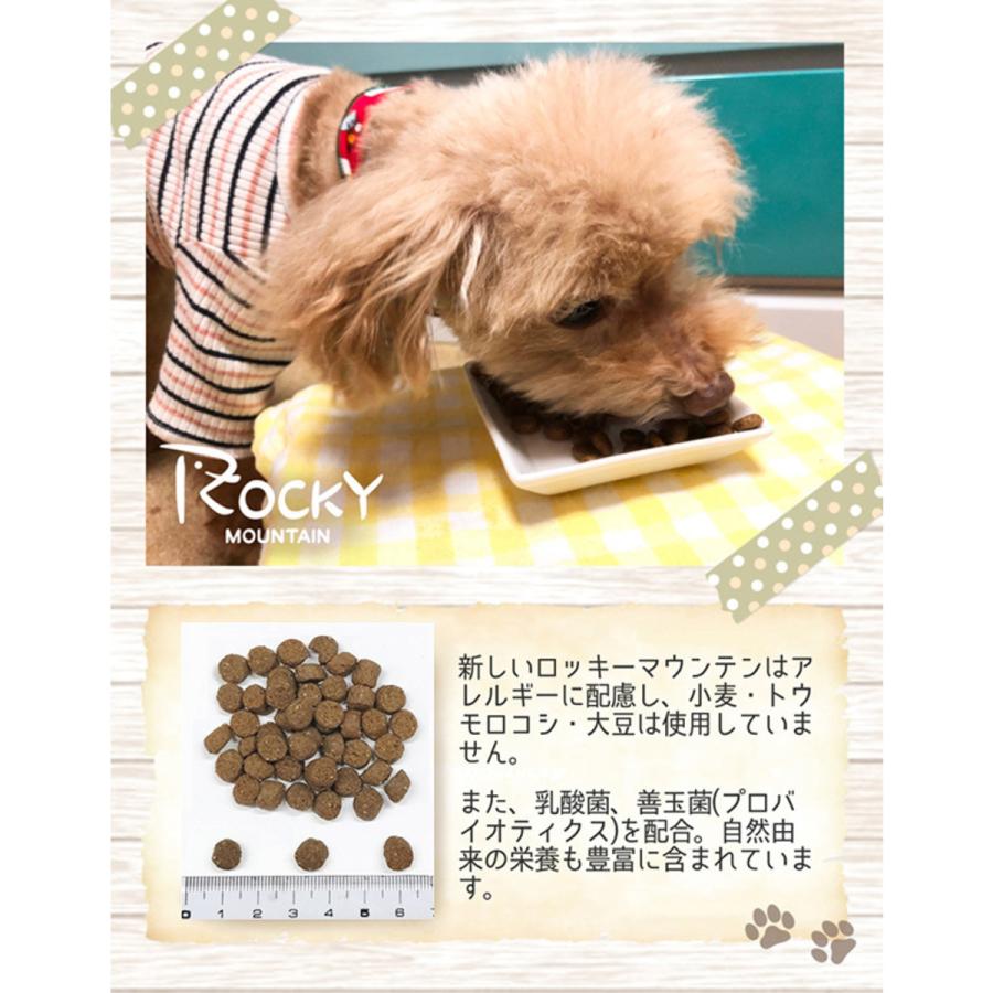 ロッキーマウンテン トムキャット サーモンレシピ ドッグフード 9.07kg 