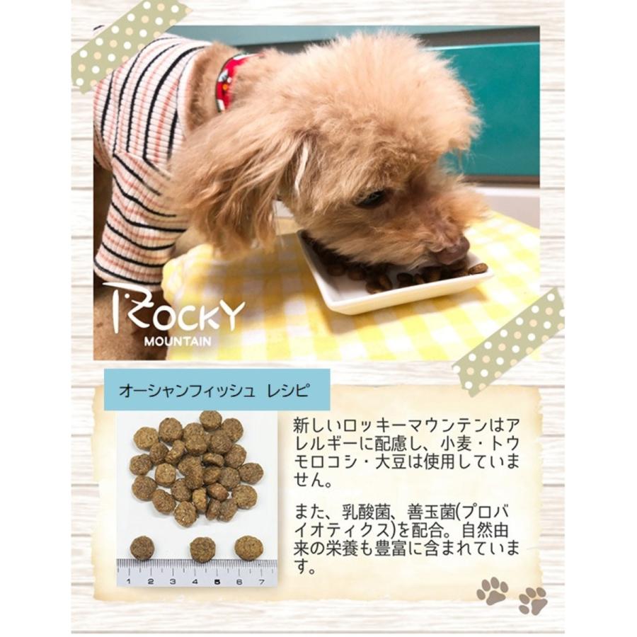 【配送日時指定不可】 トムキャット ロッキーマウンテン オーシャンフィッシュレシピ お試し ドッグフード 600g(200g×3)｜rocky｜03