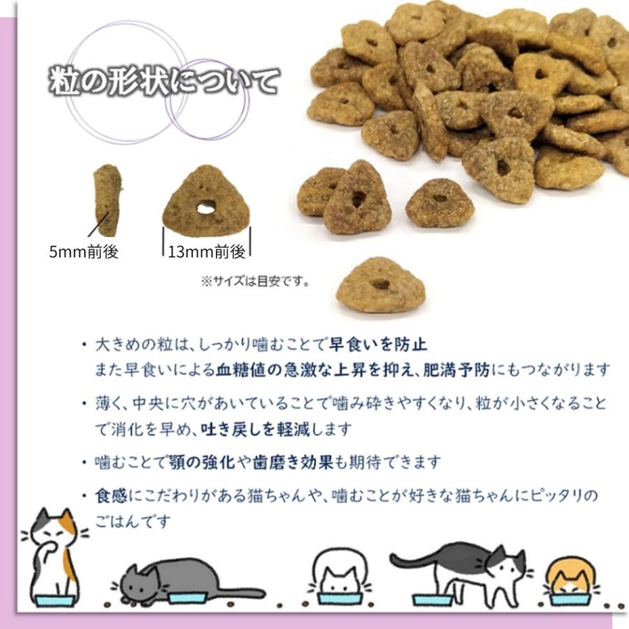 トムキャット ロッキーマウンテン インドアキャット チキンレシピ キャットフード 2kg(500g×4)×1袋 | ロッキーマウンテン（ペット用品） | 02