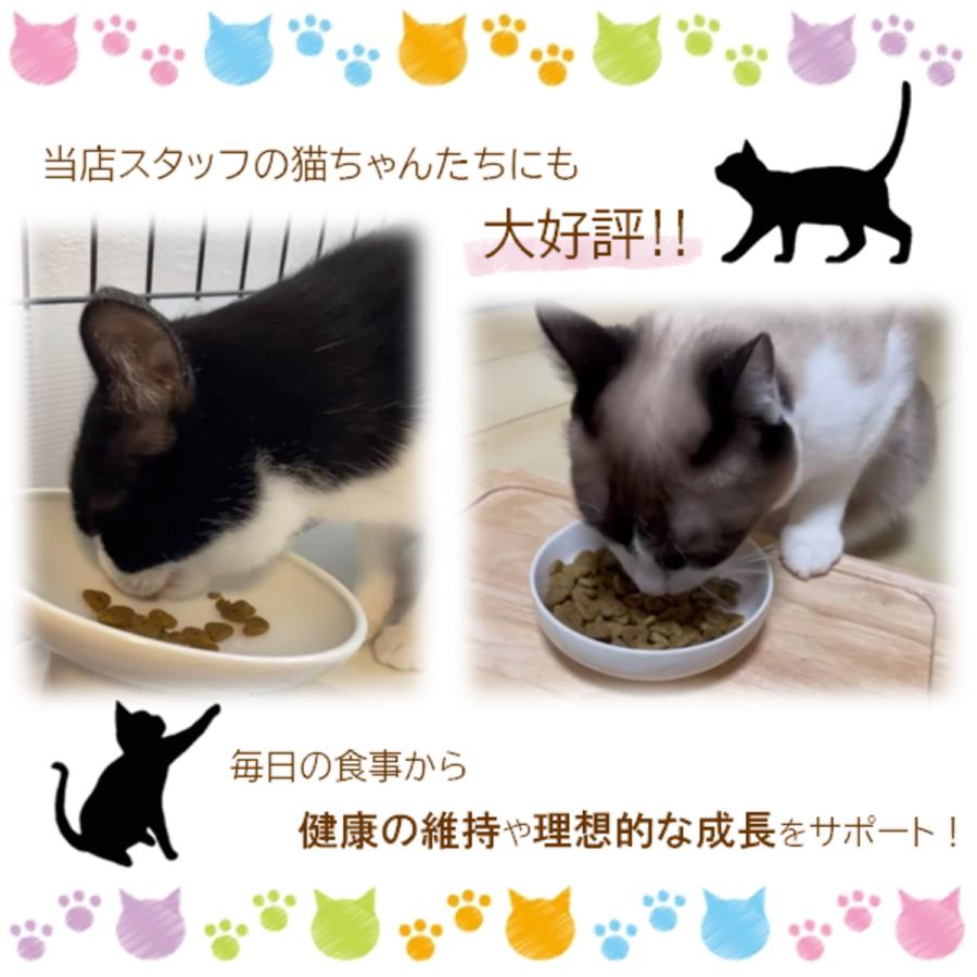 トムキャット ロッキーマウンテン インドアキャット チキンレシピ キャットフード 2kg(500g×4)×1袋 | ロッキーマウンテン（ペット用品） | 03