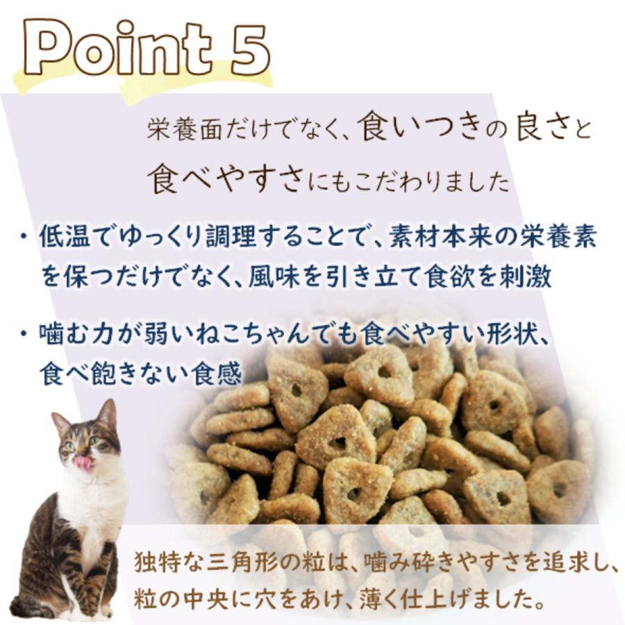 トムキャット ロッキーマウンテン インドアキャット チキンレシピ キャットフード 2kg(500g×4)×1袋 | ロッキーマウンテン（ペット用品） | 07