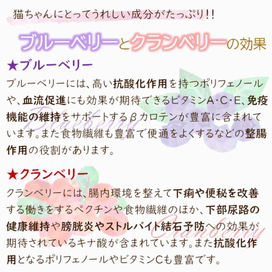 トムキャット ロッキーマウンテン インドアキャット チキンレシピ キャットフード 2kg(500g×4)×1袋 | ロッキーマウンテン（ペット用品） | 08