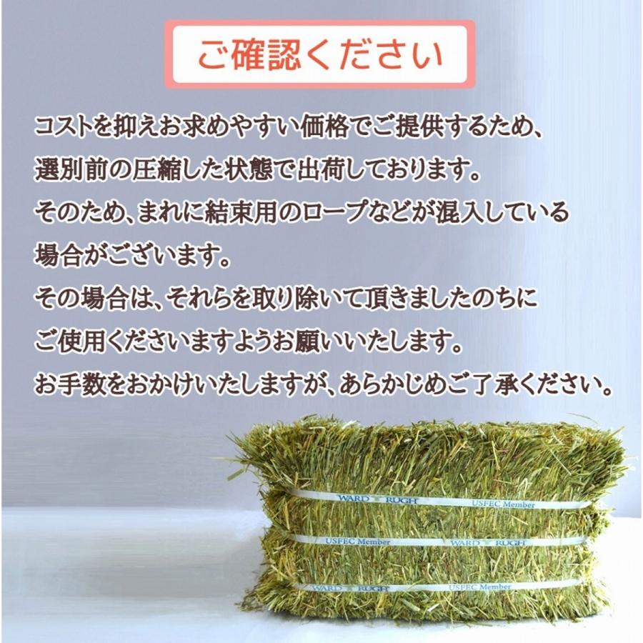 ワードルー スーパープレミアム ホースグレード チモシー 1番刈り