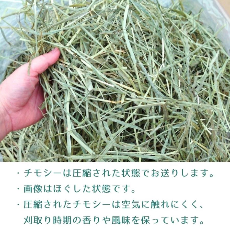 ワードルー スーパープレミアム ホースグレード チモシー 1番刈り