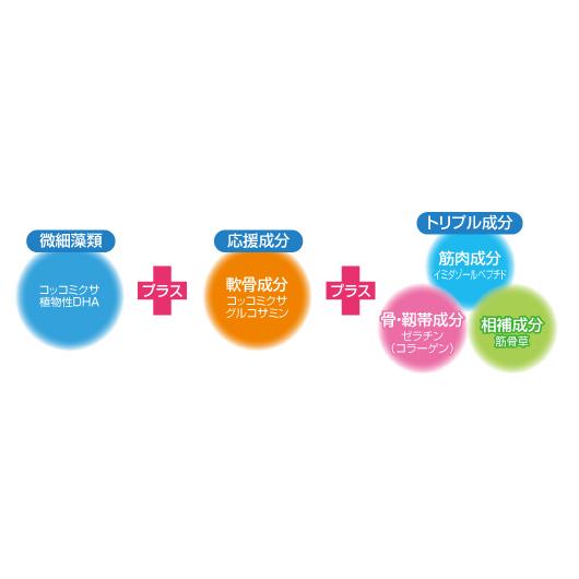 クロスタニン ひざガード 540粒（54シート）機能性表示食品