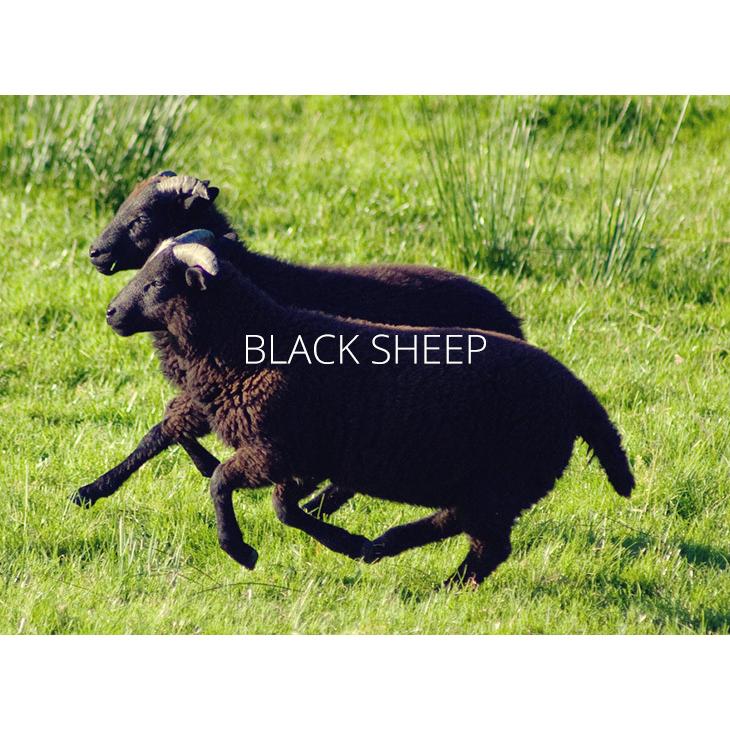 Black Sheep（ブラックシープ） ニットグローブ / ウール / 手袋 