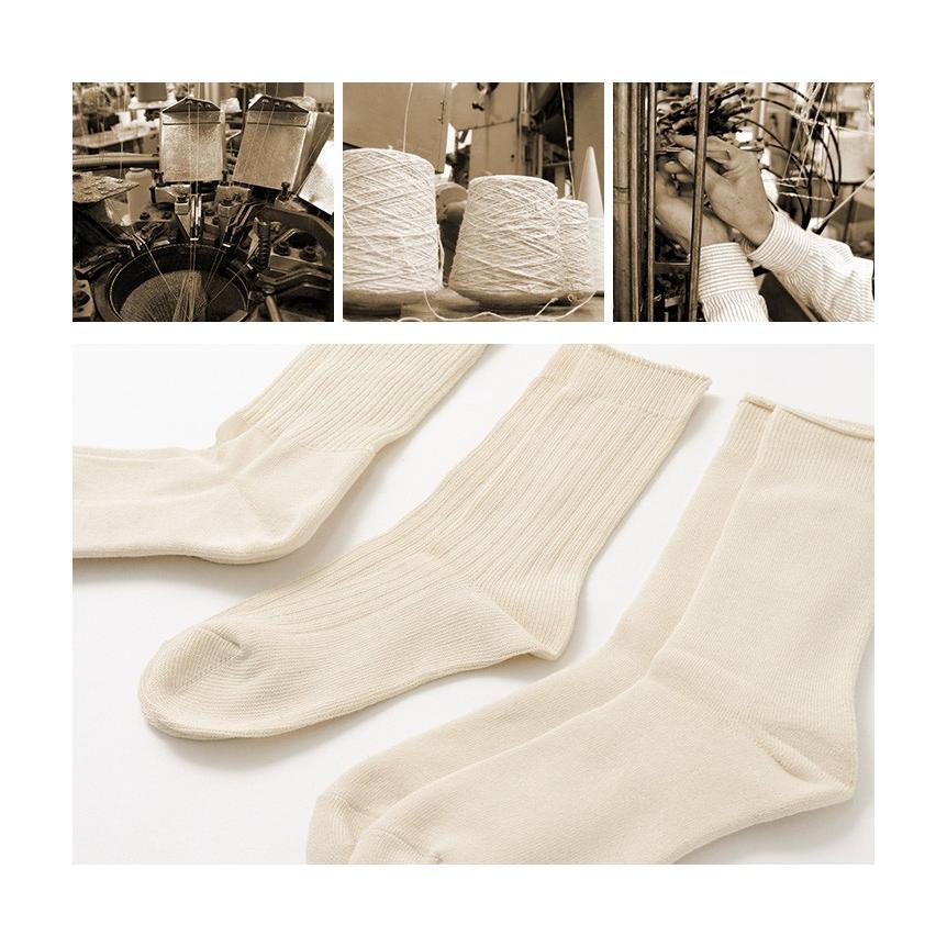 ROTOTO（ロトト） R1123 デイリー 3パック ソックス / オーガニックコットン / メンズ / レディース / 日本製