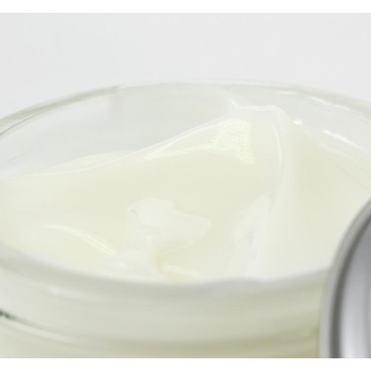 BOOT BLACK SILVER LINE（ブートブラックシルバーライン） デリケートクリーム / シューケア | COLUMBUS | 06