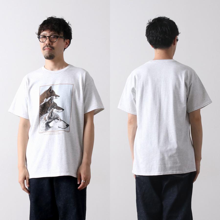 LIBERTY GRAPHICS（リバティ グラフィックス） ワイルド アニマル プリント TEE / カットソー 半袖 ユニセックス | LIBERTY GRAPHICS | 15