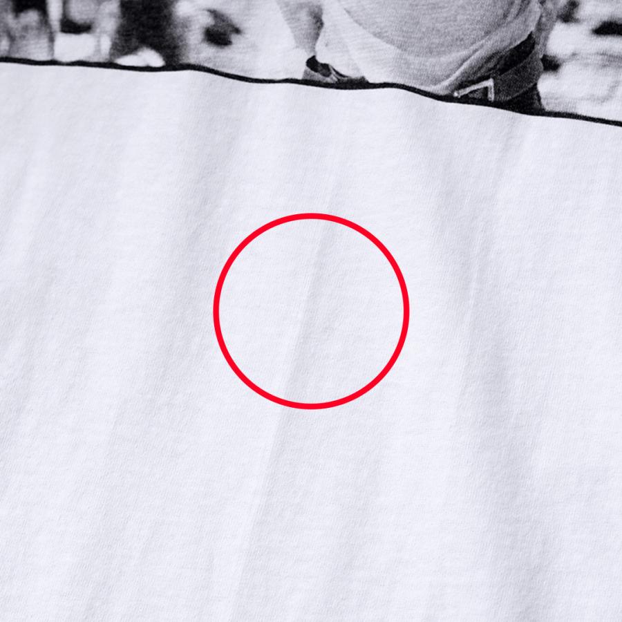 WALLA WALLA SPORT（ワラワラスポーツ） ジョセフスザボ フォトTシャツ プリシラ 日本製 / メンズ 半袖 Dinosaur Jr. | WALLA WALLA SPORT | 11