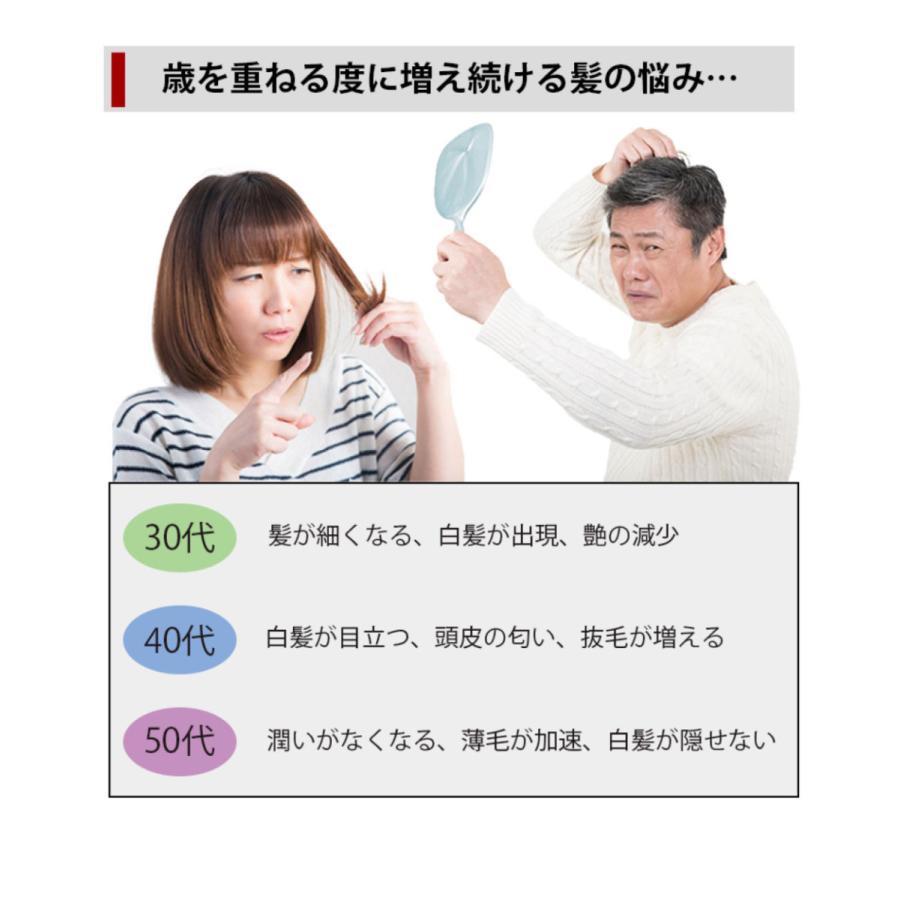 白髪 サプリメントの商品一覧 通販 Yahoo ショッピング