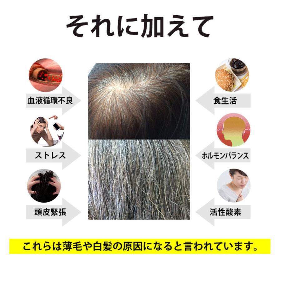 白髪 サプリメントの商品一覧 通販 Yahoo ショッピング