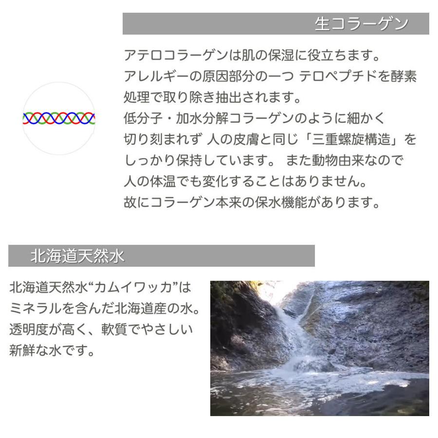 プレミアムリセットセラム 60ml 美容液 非加熱プラセンタ 生コラーゲン 保湿 引き締め くすみ スキンケアイズム Skin Care Ism |  | 04