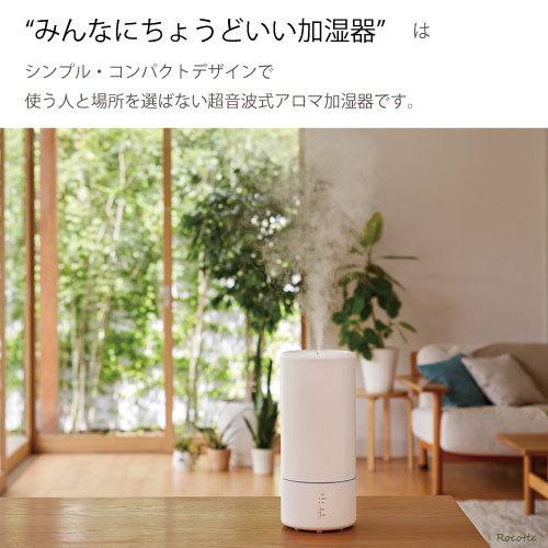 グローバルプロダクトプランニング みんなにちょうどいい加湿器 ビュー