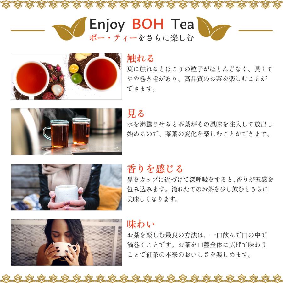 紅茶 ギフト ティーバッグ ライチ ローズ 高級紅茶 ボーティー BOH｜rocoya-shop｜05