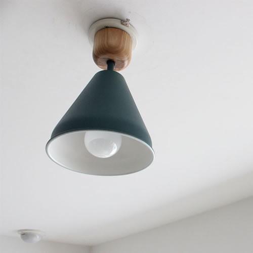 BRID（ブリッド） カラー＆ウッド 1灯 シーリングランプ（電球あり