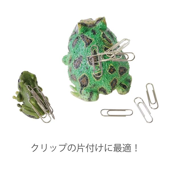 レプタイルズマグ イエロー ポイズンダートフロッグ REPTILES MAG YELLOW-BANDED POISON DART FROG 2365 | magnet | 10