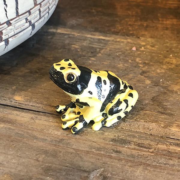 レプタイルズマグ イエロー ポイズンダートフロッグ REPTILES MAG YELLOW-BANDED POISON DART FROG 2365 | magnet | 03
