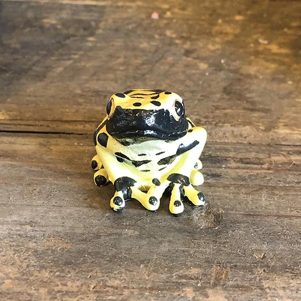 レプタイルズマグ イエロー ポイズンダートフロッグ REPTILES MAG YELLOW-BANDED POISON DART FROG 2365 | magnet | 04