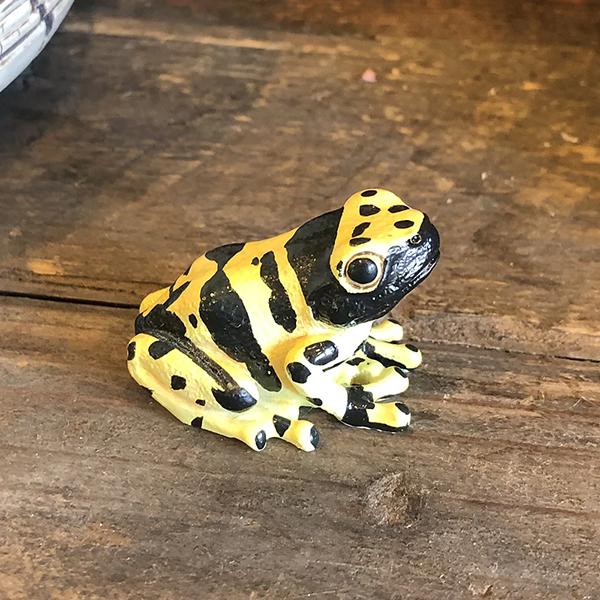 レプタイルズマグ イエロー ポイズンダートフロッグ REPTILES MAG YELLOW-BANDED POISON DART FROG 2365 | magnet | 05