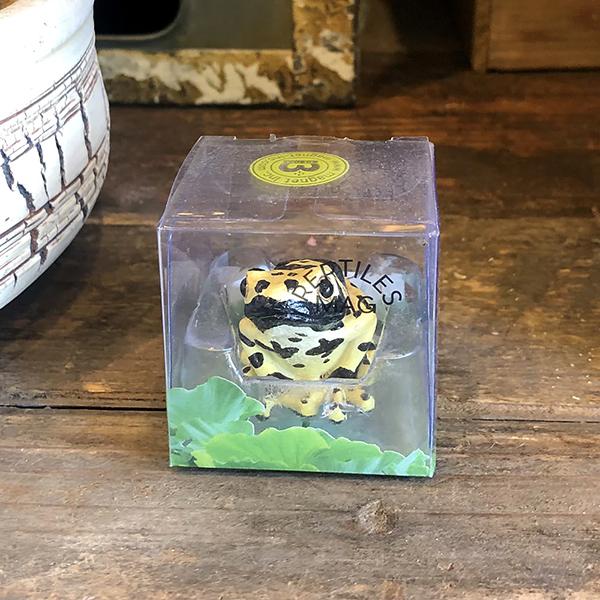 レプタイルズマグ イエロー ポイズンダートフロッグ REPTILES MAG YELLOW-BANDED POISON DART FROG 2365 | magnet | 07