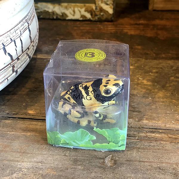 レプタイルズマグ イエロー ポイズンダートフロッグ REPTILES MAG YELLOW-BANDED POISON DART FROG 2365 | magnet | 08