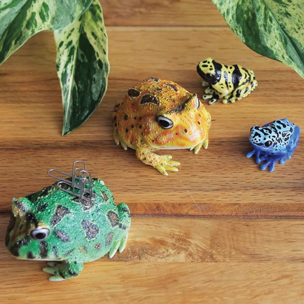 レプタイルズマグ イエロー ポイズンダートフロッグ REPTILES MAG YELLOW-BANDED POISON DART FROG 2365 | magnet | 09