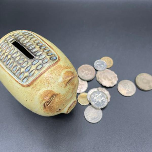 インストゥルメンタル CERAMIC BANK セラミック バンク IN-117 |  | 02