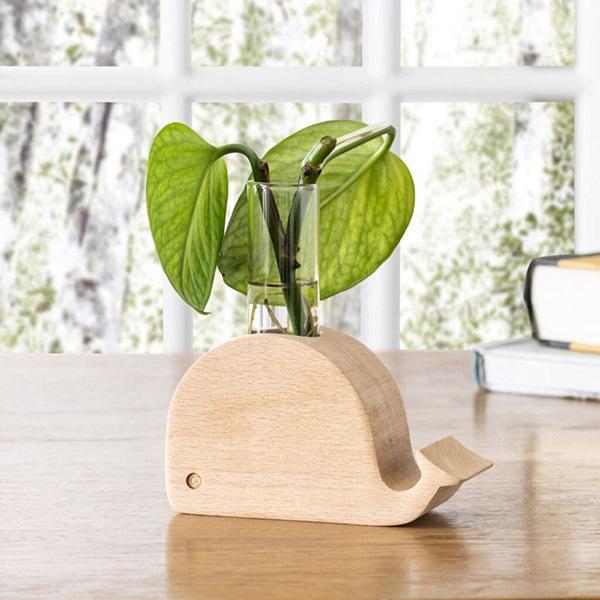 KIKKERLAND ホエール プロパゲーション ベース VS03 |  | 01