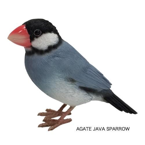 バーディ ビル （文鳥） | magnet | 01