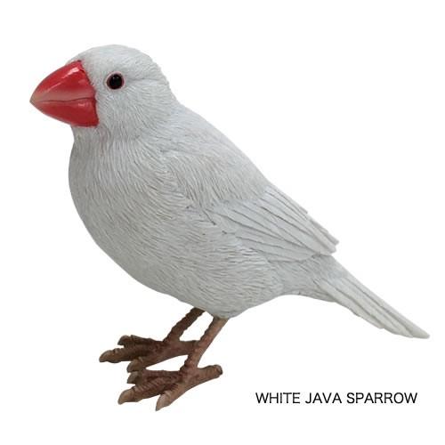 バーディ ビル （文鳥） | magnet | 02